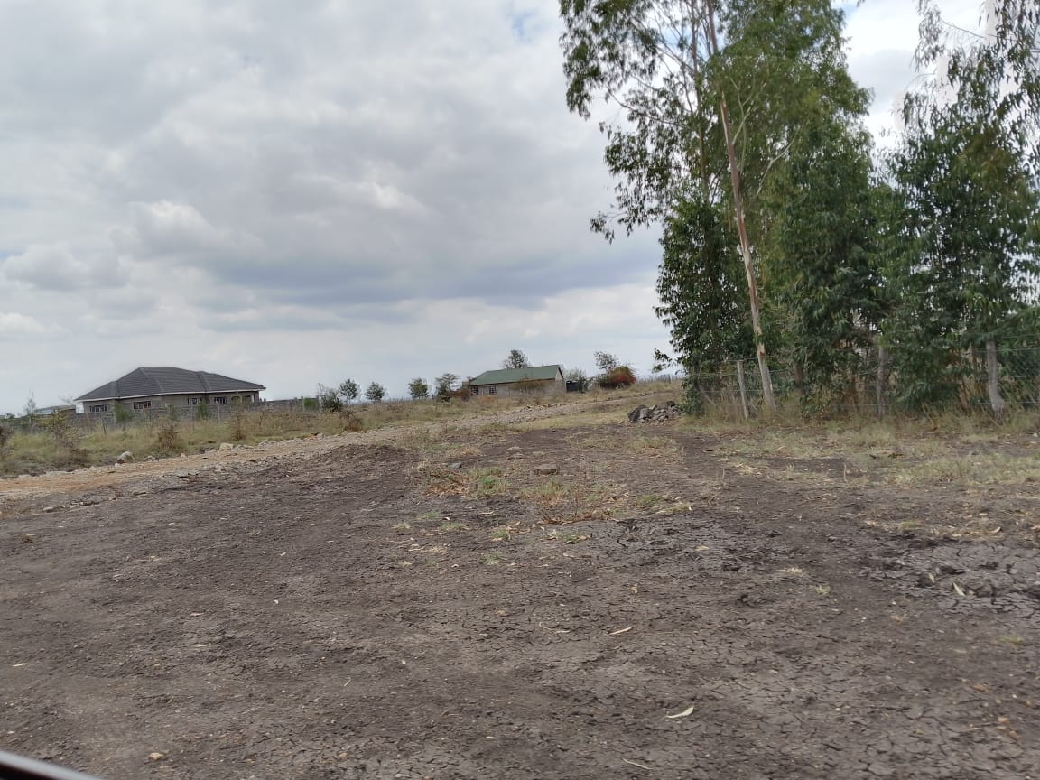 Cleared plot with neighbouring homes already built