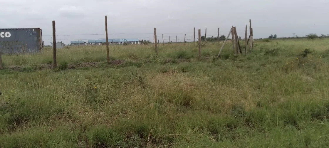 Open, fenced plot of land ready for development