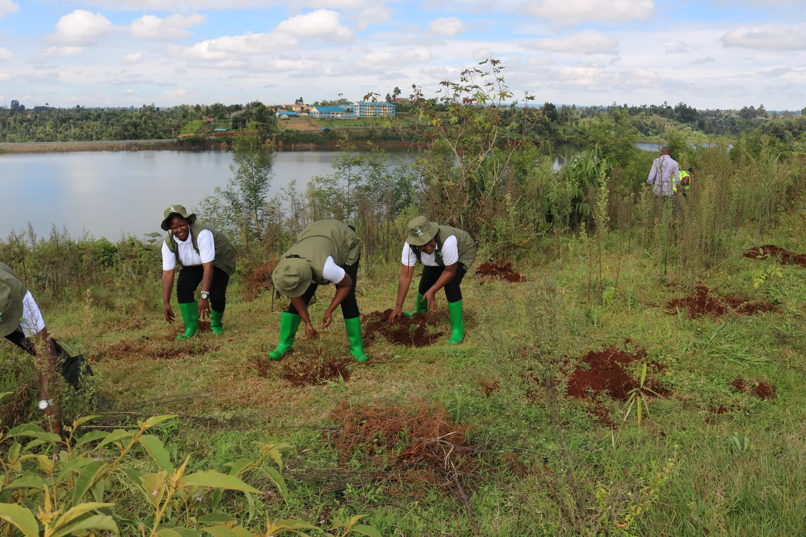 Community members and Sacco staff handing out tree seedlings at a planting drive